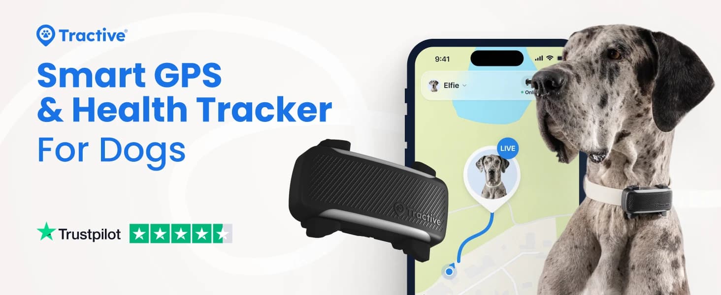 XL Smart Dog GPS Tracker | Live Pet Tracker with Virtual Fence | Vital Signs Monitoring of Heart and — product details