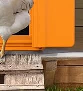 Smart Chicken Coop Heater — 200W Radiant Heat Panel with Temperature Sensor — collection imagery