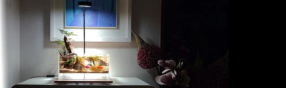 Aquarium and Terrarium Light Full Spectrum LED — collection imagery