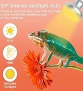 150W Ceramic Heat Emitter — Reptile Heat Bulbs — collection imagery