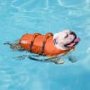 Granby Splash Dog Life Jacket