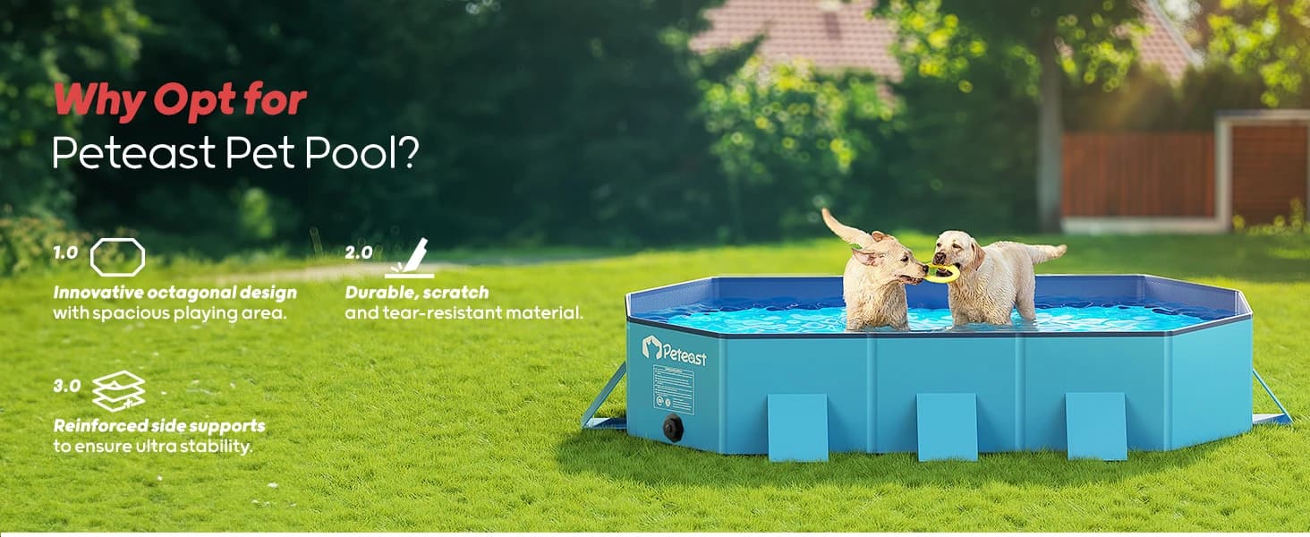 Dog Pool for Large Dogs — Foldable Hard Plastic — product details