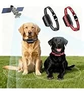 GPS Wireless Dog Fence — No Subscription Dog Collar for Dogs 15Lbs+ — collection imagery