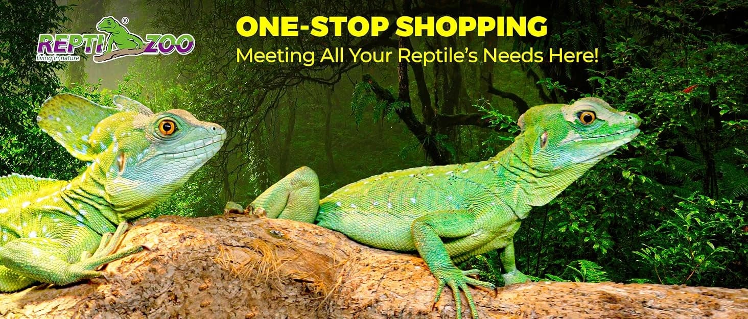 Reptile Waterfall Automatic Reptile Drinking Fountain Water Dispenser — collection imagery