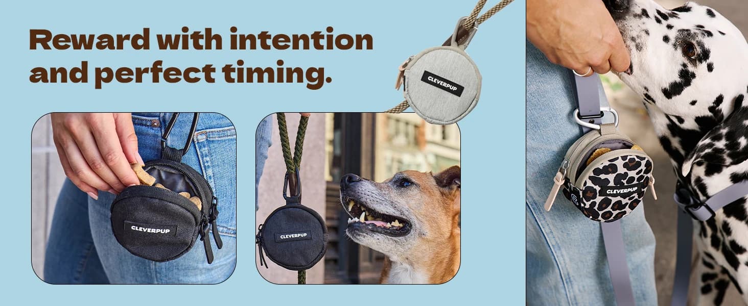 Snackpack Double Insulated Dog Treat Pouch – 1.5 Cup Capacity — product details