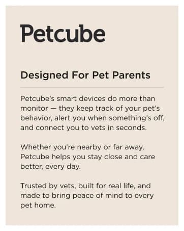 Cam 360 – Wi-Fi Pan-Tilt Pet Security Camera with App — collection imagery