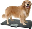 Precision Digital Pet Scale for Large Animals with Non-Skid Mat