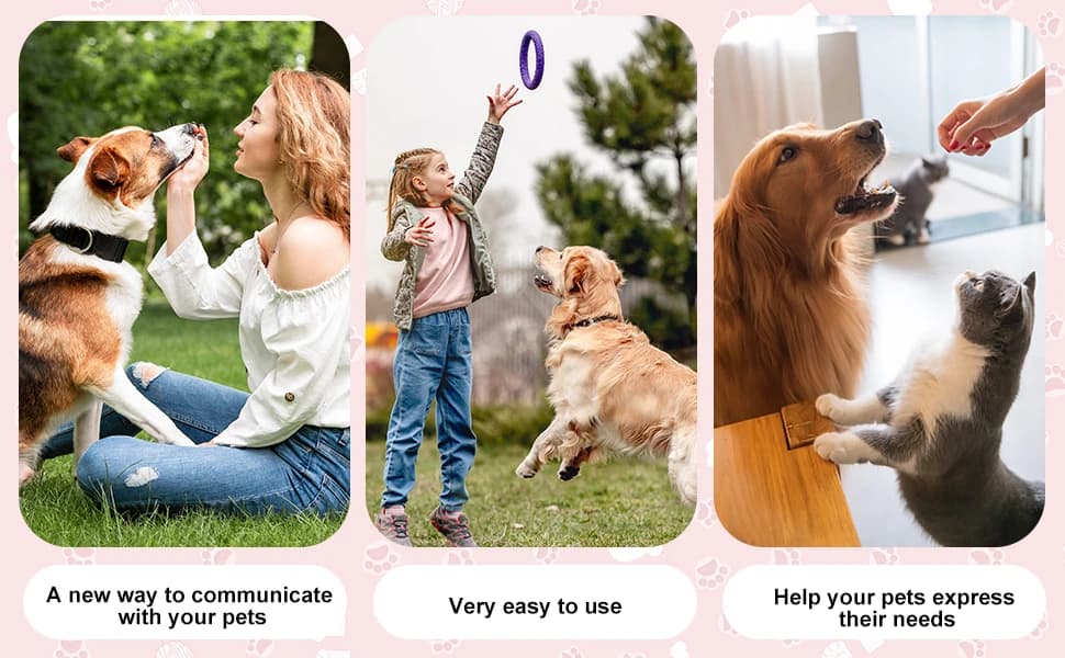 Set of 4 Dog Buttons for Communication — product details