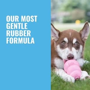 Flyer — Natural Rubber Flying Disc Fetch Toy — collection imagery