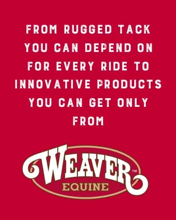 Supply Original Non-Adjustable Nylon Horse Halter – Durable Nylon — collection imagery