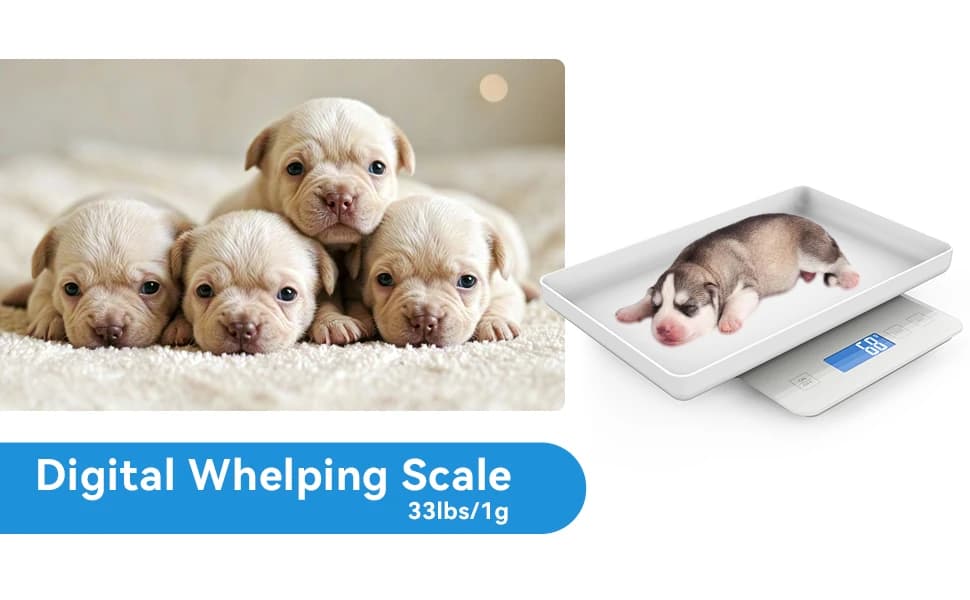 Digital Pet Scale for Small Animal — This is a small digital scale with an accuracy of 1g/0.03oz, Suited to weighing small animals or food. The maximum weighing is 33lbs/15kg.