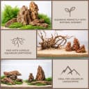 6.1-8.1 Inches Natural Dragon Stone