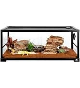 3 in 1 Reptile Hide Cave with Detachable Base and Humidity Dish — collection imagery