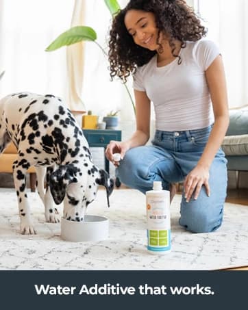 Pemium Crate and Cage Cleaner – Safe — collection imagery