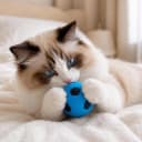 Sponge Soccer Ball Cat Toys for Cats and Kittens - Interactive and Colorful Plush Toy