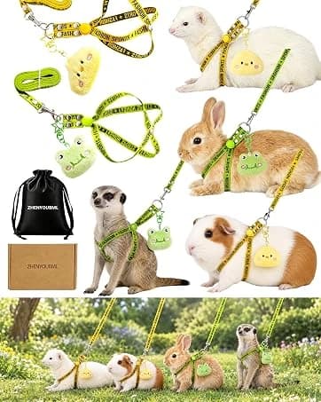 2PCS Ferret Harness and Leash — Adjustable Guinea Pig Harness — collection imagery