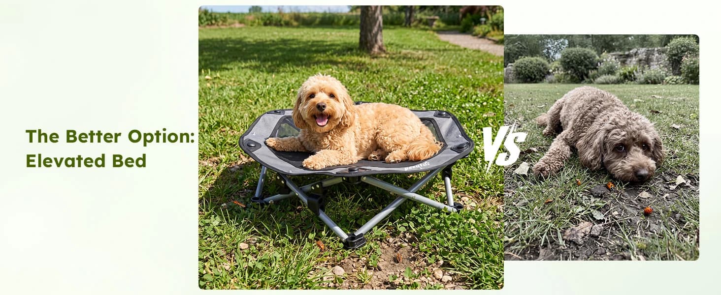 Raised Dog Bed with Cooling Mat — product details
