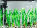 Artificial Seaweed Water Plants for Aquarium