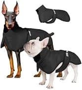 Dog Backpack for Small Dogs to Wear — collection imagery