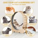 Cat Wheel — 46" XL Large Exercise Running Wheels with Detachable Carpet for Indoor Cats