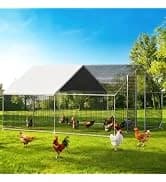 Large Walk-in Chicken Coop with Chicken Run — collection imagery