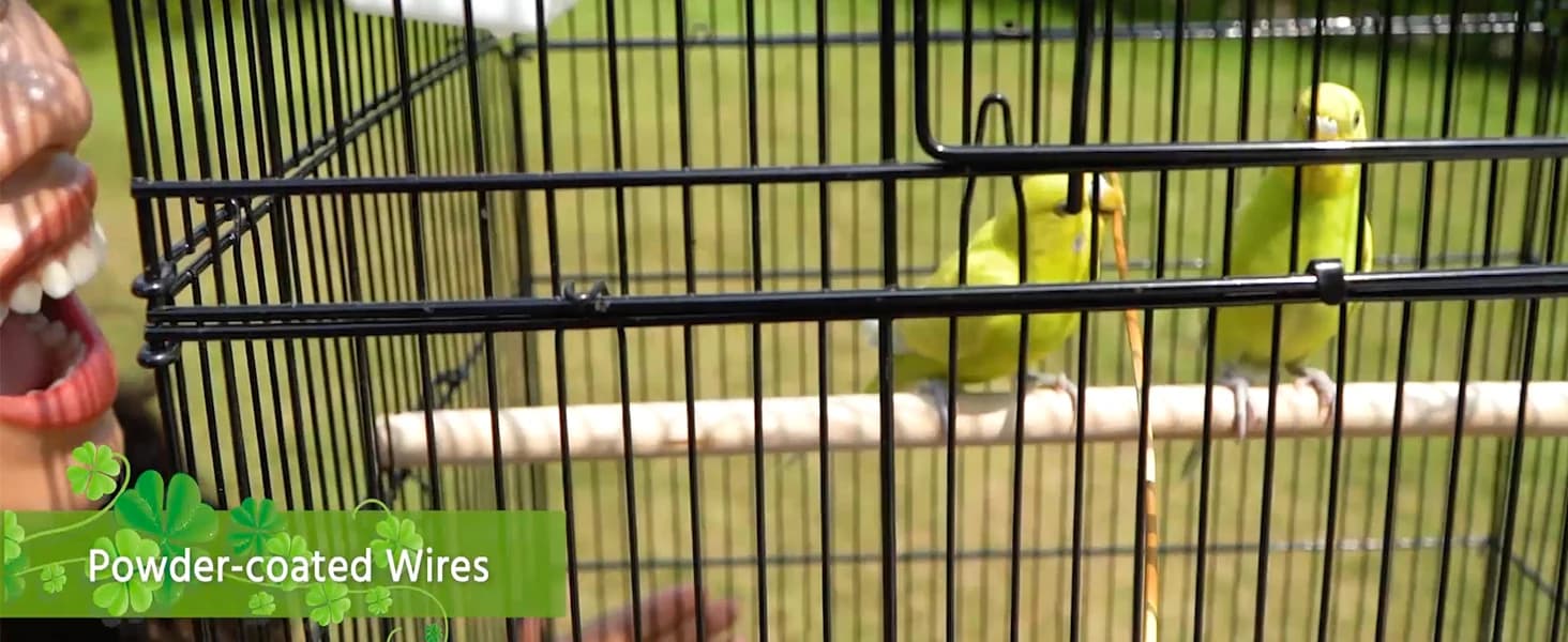64-Inch Open Top Bird Cage for Parakeets and Cockatiels — collection imagery