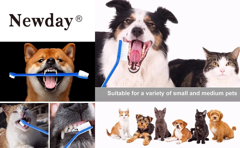 Dog Toothbrush Set of 8 - Dual Headed — product details