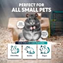 3 LB Chinchilla Dust Bath Jar