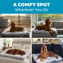 On-The-Go Travel Dog Bed — Portable Roll-Up Mat with Buckle