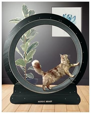 48'' XL Cat Wheel β Safe, Quiet and Stable Exercise Wheel for Large Indoor Cats up to 45 lbs β 15.7'' β collection imagery