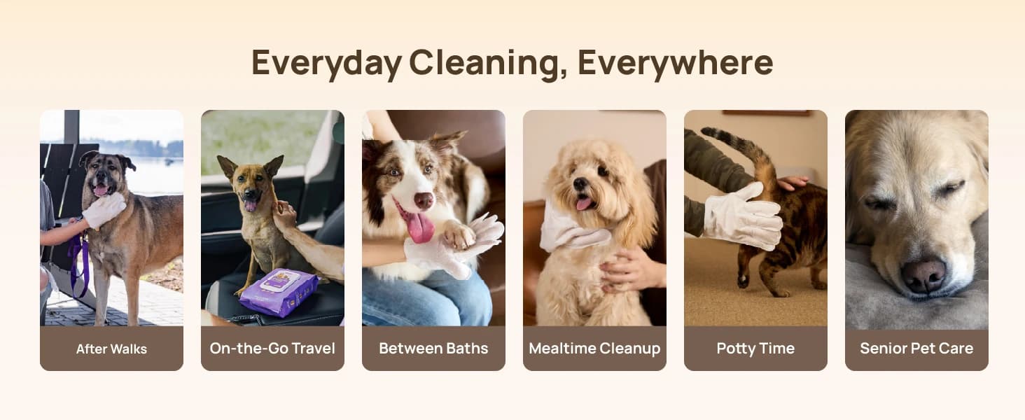 Dog Wipes for Dogs and Cats — Glove Design — collection imagery