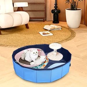 Dog Pool — Foldable Pet Swimming Pool with 6mm High-Strength PP Board — collection imagery