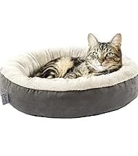 Dog Stairs for High Bed, Foldable Pet Stairs for Small and Medium or Large Dogs Puppy with Storage for Bed or — collection imagery