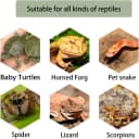 Turtle Basking Platform Baby Tortoise Climbing Ramp Shale Reptiles Dock Resting Terrace Stone Aquarium Ornament