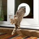 Sure Petcare Microchip Cat Flap