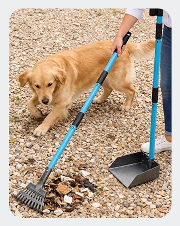 Dog Pooper Scooper — Stainless Metal Poop Scooper for Yard Long Handle — collection imagery