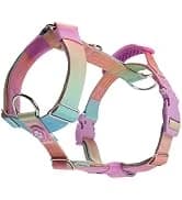 Dog Cooling Vest - Evaporative Summer Cooling — collection imagery