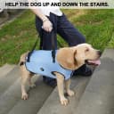Dog Lift Harness, Pet Support and Rehabilitation Sling Lift Adjustable Padded Breathable Straps for Old