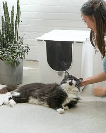 Top-Entry Cat Litter Box — Leak-Proof — collection imagery