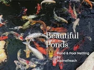 Koi Pond Netting Kit 15 x 20 ft Black Heavy Duty Woven Fine Mesh Net Cover for Leaves - Protects Koi Fish from — Koi Friendly
