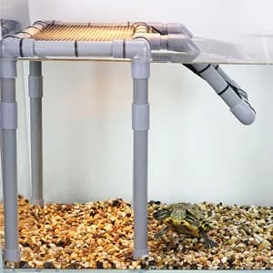 Large Turtle Basking Platform for Aquatic Turtles — collection imagery