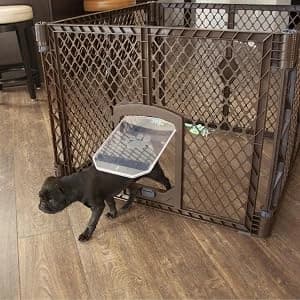 Paws Portable Pet Gate: 26-40" Wide Expandable — collection imagery