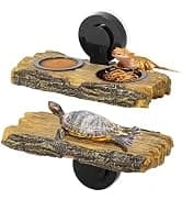 3 in 1 Reptile Hide Cave with Detachable Base and Humidity Dish — collection imagery