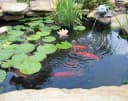 Pond Liner — 20 Mil HDPE Pond Liners for Outdoor Ponds