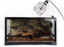 Full Spectrum UVA + UVB Sun Lamp Self-Ballasted Vapor Lamp/Bulb/Light for Reptile and Amphibian Use