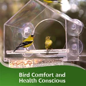 Window Bird Feeder with Strong Suction Cups — collection imagery