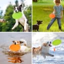 Dog Flying Disc — 2 Pack