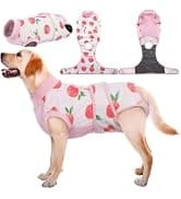 Dog Surgery Recovery Suit — Surgical Suit for Dogs Male Female — collection imagery