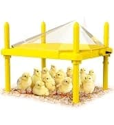 Chick Brooder Heater Plate for Baby Chicks — collection imagery