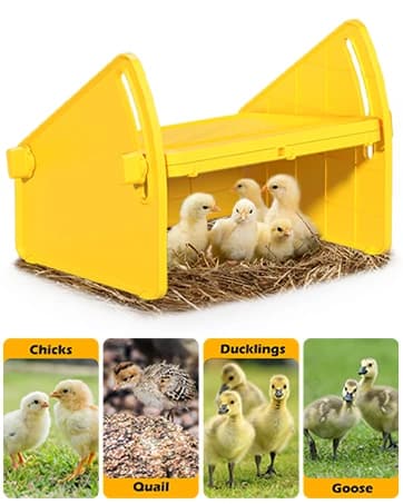 Chick Brooder Heater Plate for Baby Chicks — collection imagery
